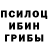 Псилоцибиновые грибы GOLDEN TEACHER Rim Copylok