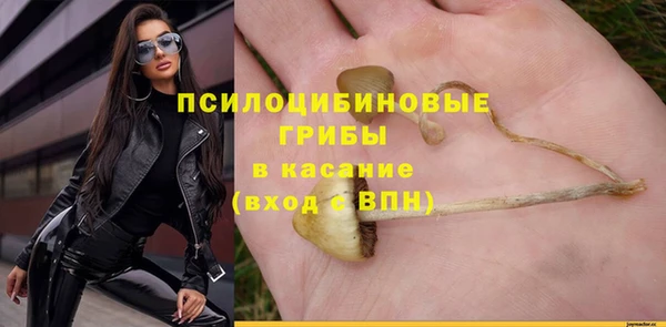 спайс Арсеньев