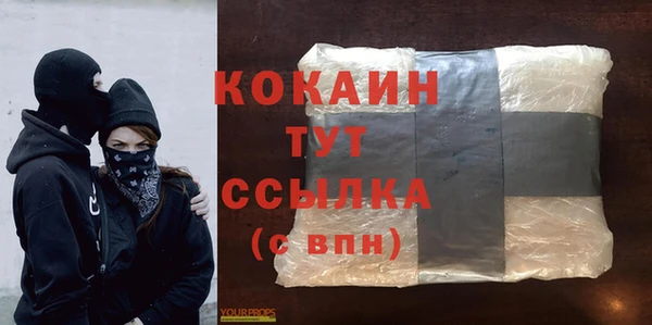 сатива Армянск
