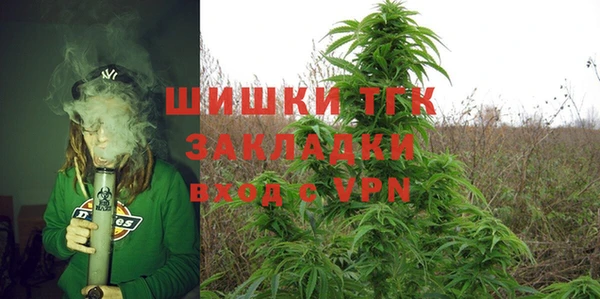спайс Арсеньев