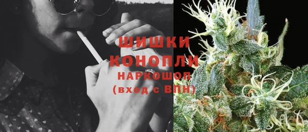 мдпв Богородицк