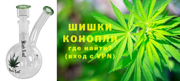 сатива Армянск