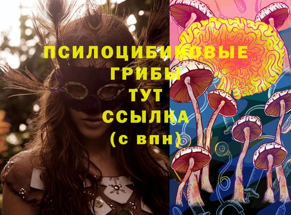 мдпв Богородицк