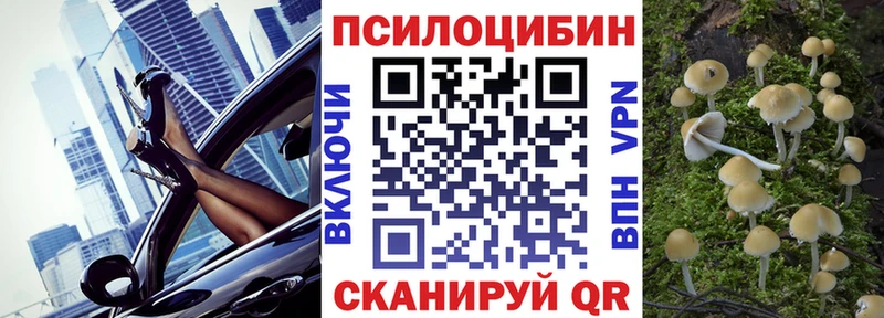 где купить наркотик  Кировск  Галлюциногенные грибы Magic Shrooms 