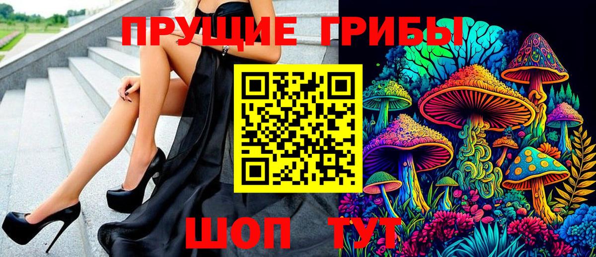 Галлюциногенные грибы MAGIC MUSHROOMS  Вход с VPN  Кировск  купить закладку  Галлюциногенные грибы MAGIC MUSHROOMS 
